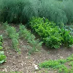 Agriturismo Il Mausset