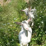 Agriturismo Il Mausset
