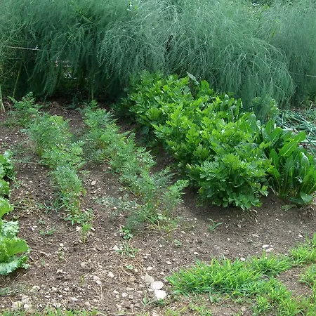 Agriturismo Il Mausset